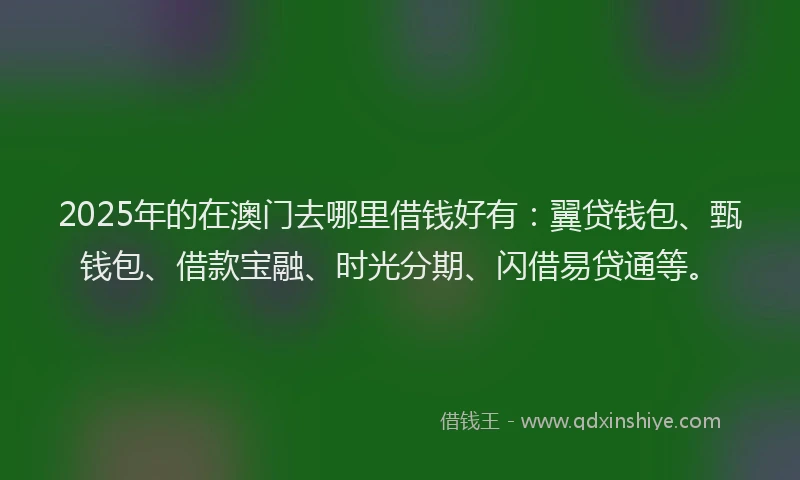 2025年的在澳门去哪里借钱好有：翼贷钱包、甄钱包、借款宝融、时光分期、闪借易贷通等。
