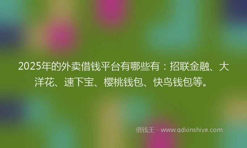 2025年的外卖借钱平台有哪些有：招联金融、大洋花、速下宝、樱桃钱包、快鸟钱包等。