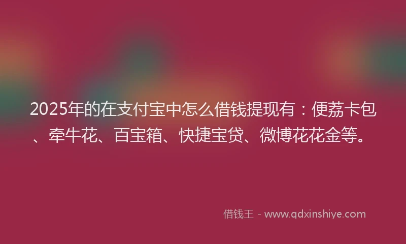 2025年的在支付宝中怎么借钱提现有：便荔卡包、牵牛花、百宝箱、快捷宝贷、微博花花金等。