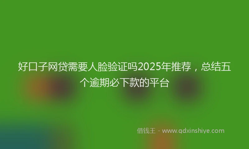 好口子网贷需要人脸验证吗2025年推荐，总结五个逾期必下款的平台