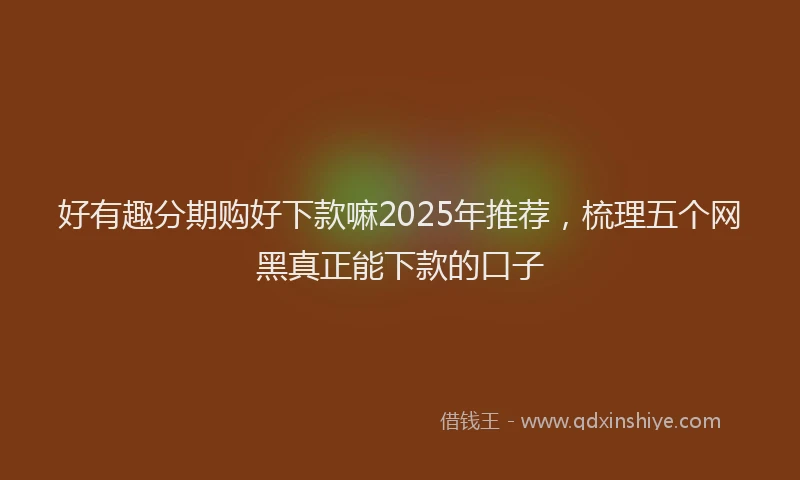 好有趣分期购好下款嘛2025年推荐，梳理五个网黑真正能下款的口子