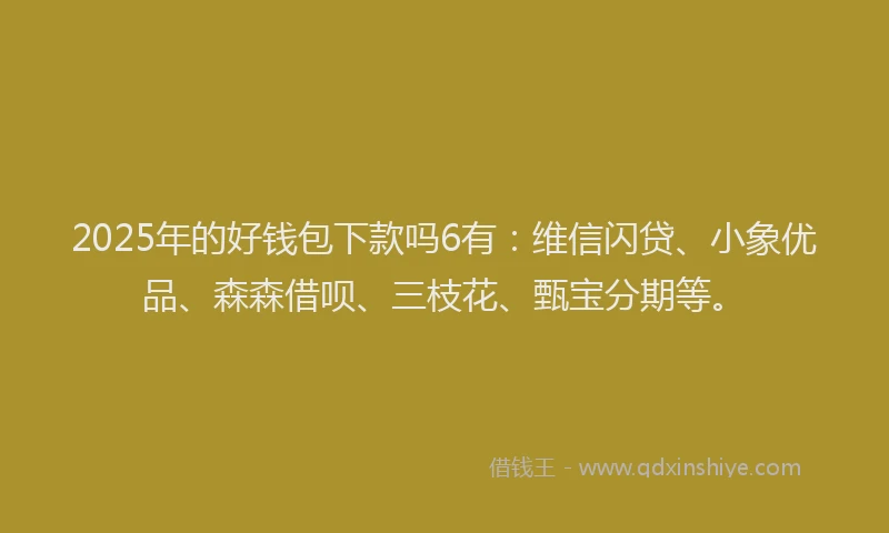 2025年的好钱包下款吗6有：维信闪贷、小象优品、森森借呗、三枝花、甄宝分期等。