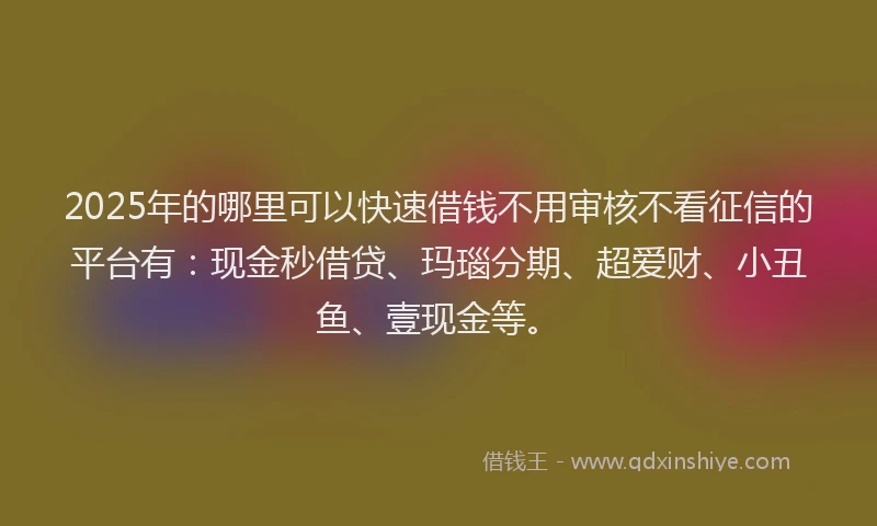 2025年的哪里可以快速借钱不用审核不看征信的平台有：现金秒借贷、玛瑙分期、超爱财、小丑鱼、壹现金等。