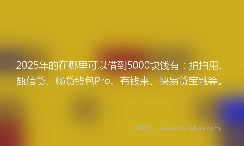 2025年的在哪里可以借到5000块钱有：拍拍用、甄信贷、畅贷钱包Pro、有钱来、快易贷宝融等。