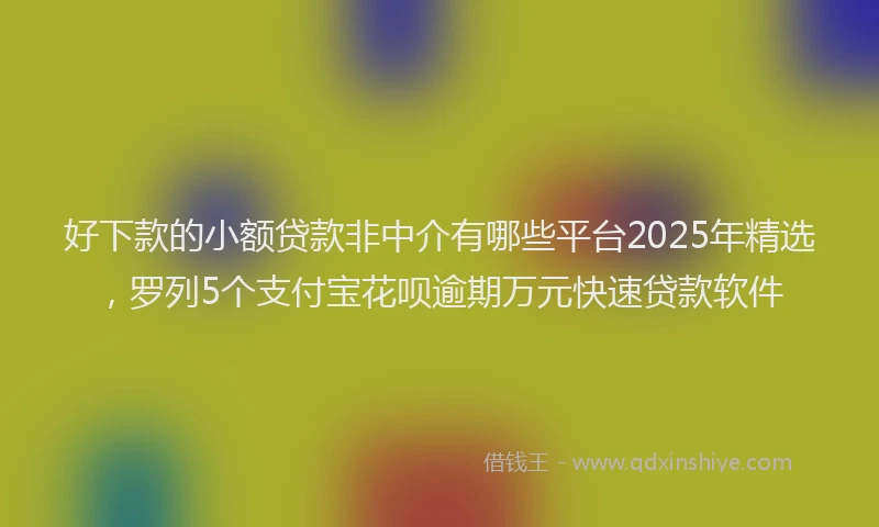好下款的小额贷款非中介有哪些平台2025年精选，罗列5个支付宝花呗逾期万元快速贷款软件
