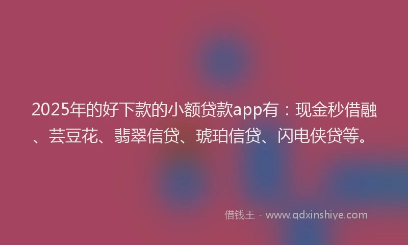 2025年的好下款的小额贷款app有：现金秒借融、芸豆花、翡翠信贷、琥珀信贷、闪电侠贷等。