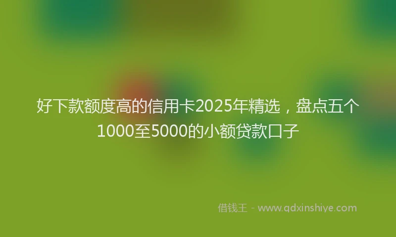好下款额度高的信用卡2025年精选，盘点五个1000至5000的小额贷款口子