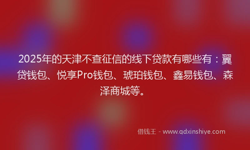 2025年的天津不查征信的线下贷款有哪些有：翼贷钱包、悦享Pro钱包、琥珀钱包、鑫易钱包、森泽商城等。