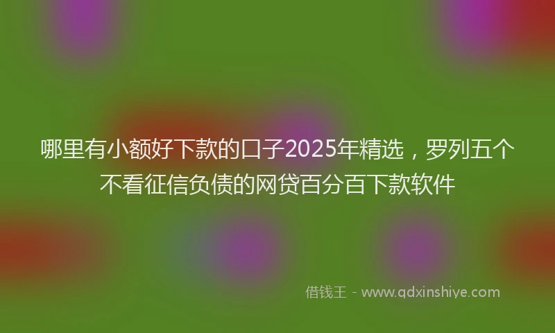 哪里有小额好下款的口子2025年精选，罗列五个不看征信负债的网贷百分百下款软件