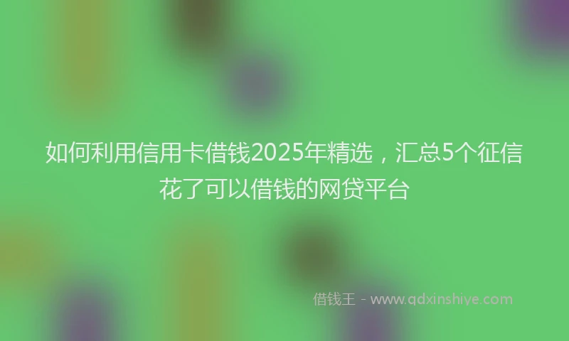 如何利用信用卡借钱2025年精选，汇总5个征信花了可以借钱的网贷平台