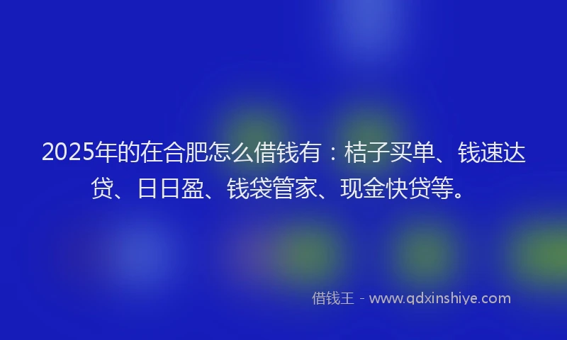 2025年的在合肥怎么借钱有：桔子买单、钱速达贷、日日盈、钱袋管家、现金快贷等。