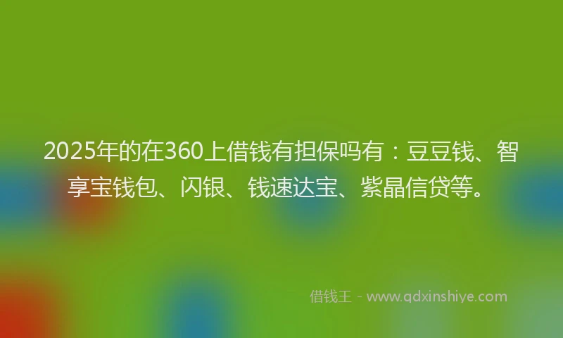 2025年的在360上借钱有担保吗有：豆豆钱、智享宝钱包、闪银、钱速达宝、紫晶信贷等。