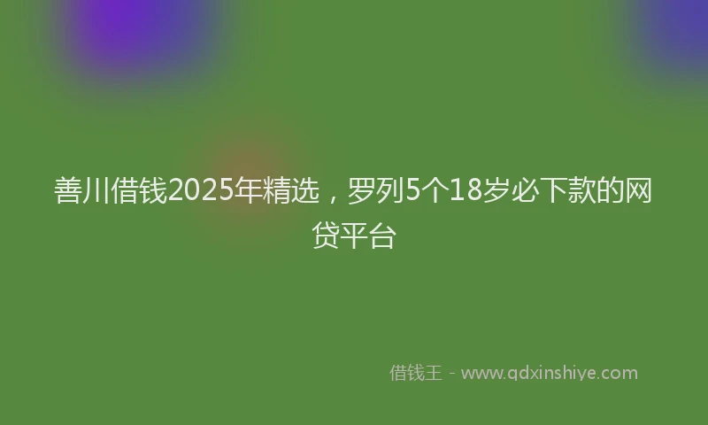 善川借钱2025年精选，罗列5个18岁必下款的网贷平台
