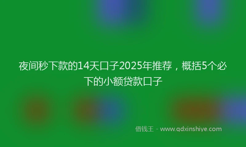 夜间秒下款的14天口子2025年推荐，概括5个必下的小额贷款口子
