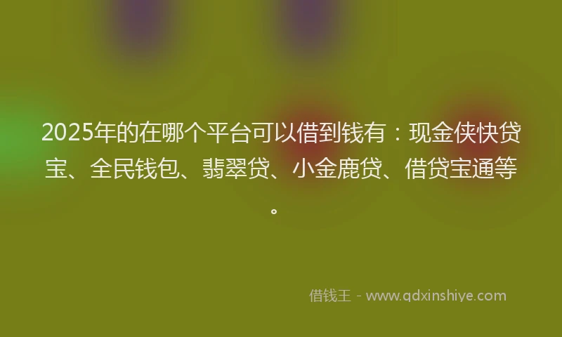 2025年的在哪个平台可以借到钱有：现金侠快贷宝、全民钱包、翡翠贷、小金鹿贷、借贷宝通等。