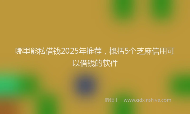 哪里能私借钱2025年推荐，概括5个芝麻信用可以借钱的软件