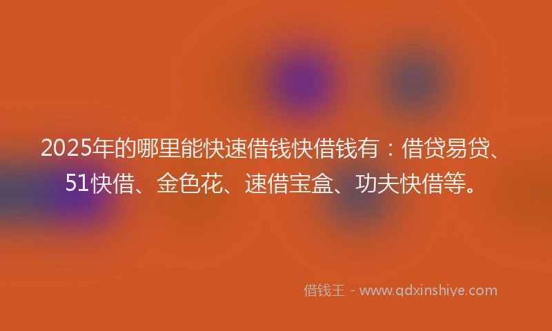 2025年的哪里能快速借钱快借钱有：借贷易贷、51快借、金色花、速借宝盒、功夫快借等。