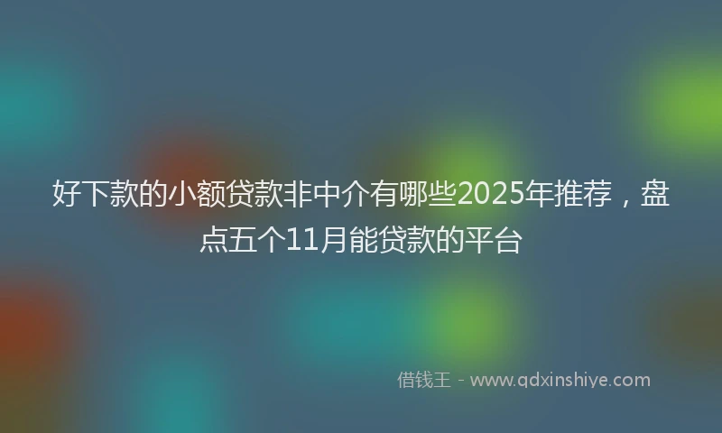 好下款的小额贷款非中介有哪些2025年推荐，盘点五个11月能贷款的平台