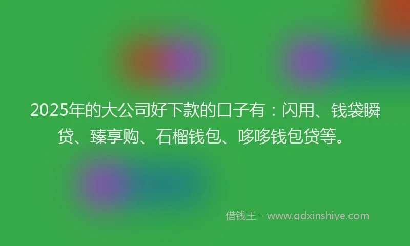 2025年的大公司好下款的口子有：闪用、钱袋瞬贷、臻享购、石榴钱包、哆哆钱包贷等。