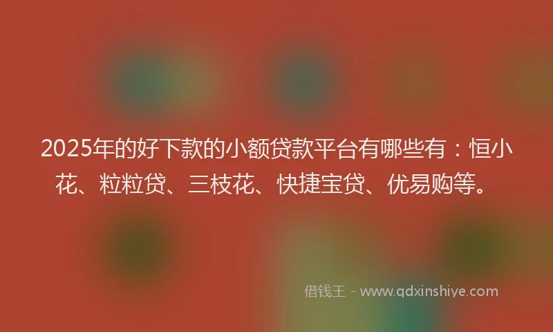 2025年的好下款的小额贷款平台有哪些有：恒小花、粒粒贷、三枝花、快捷宝贷、优易购等。