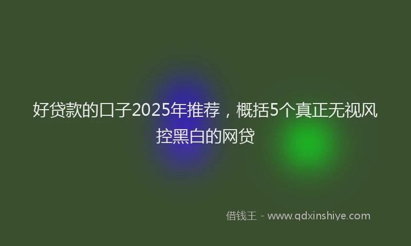 好贷款的口子2025年推荐，概括5个真正无视风控黑白的网贷