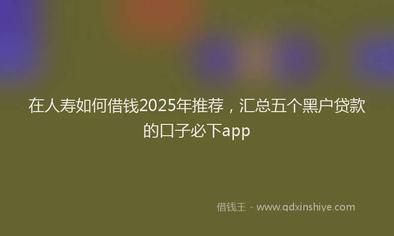 在人寿如何借钱2025年推荐，汇总五个黑户贷款的口子必下app