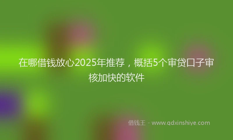在哪借钱放心2025年推荐，概括5个审贷口子审核加快的软件