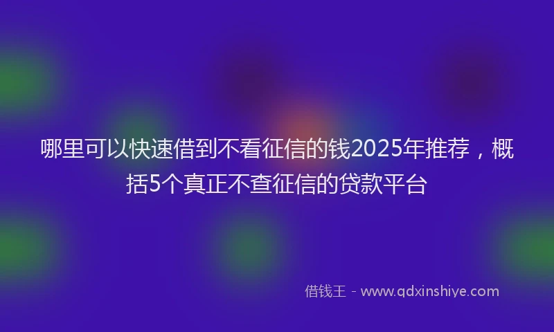 哪里可以快速借到不看征信的钱2025年推荐，概括5个真正不查征信的贷款平台