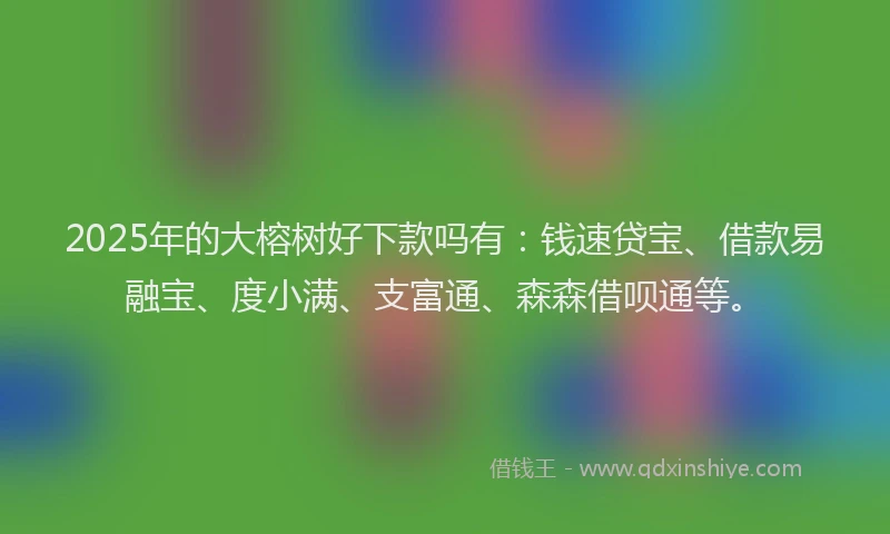 2025年的大榕树好下款吗有：钱速贷宝、借款易融宝、度小满、支富通、森森借呗通等。