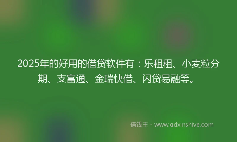 2025年的好用的借贷软件有：乐租租、小麦粒分期、支富通、金瑞快借、闪贷易融等。