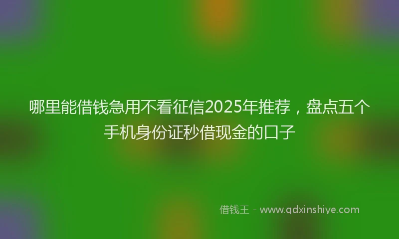哪里能借钱急用不看征信2025年推荐，盘点五个手机身份证秒借现金的口子