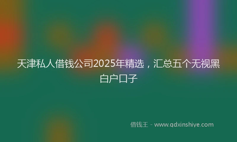 天津私人借钱公司2025年精选，汇总五个无视黑白户口子