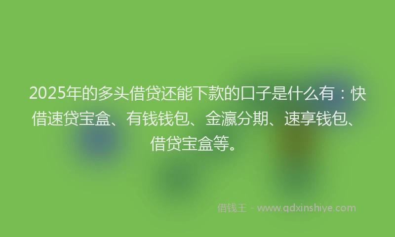 2025年的多头借贷还能下款的口子是什么有：快借速贷宝盒、有钱钱包、金瀛分期、速享钱包、借贷宝盒等。