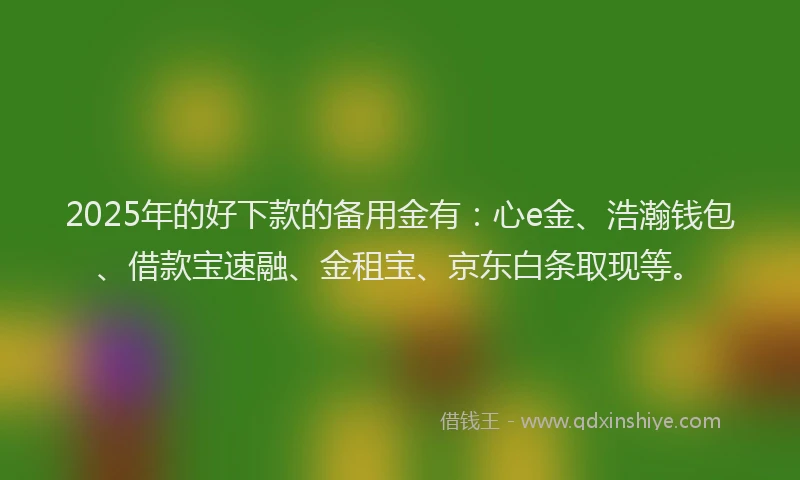 2025年的好下款的备用金有：心e金、浩瀚钱包、借款宝速融、金租宝、京东白条取现等。