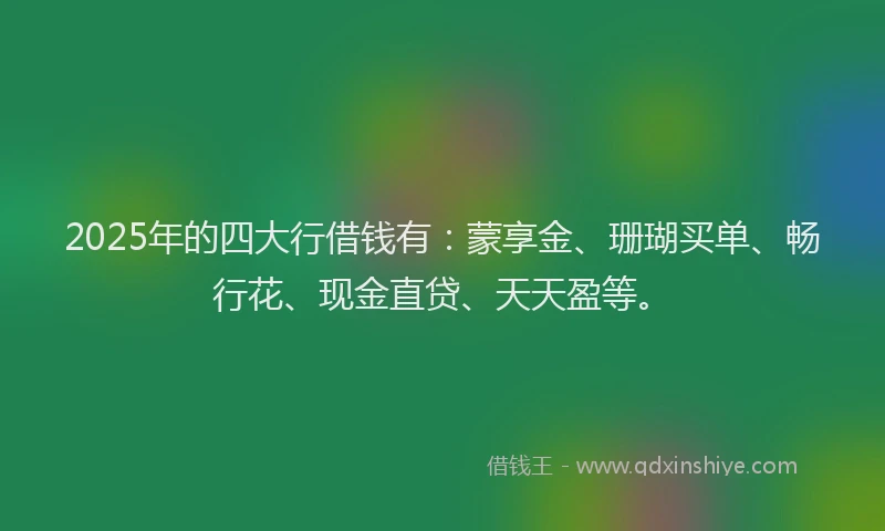 2025年的四大行借钱有：蒙享金、珊瑚买单、畅行花、现金直贷、天天盈等。