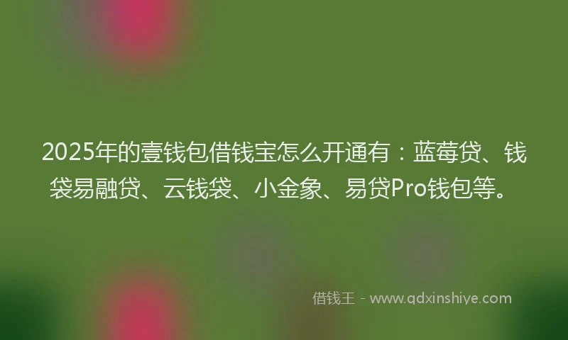 2025年的壹钱包借钱宝怎么开通有：蓝莓贷、钱袋易融贷、云钱袋、小金象、易贷Pro钱包等。