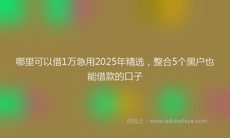哪里可以借1万急用2025年精选，整合5个黑户也能借款的口子