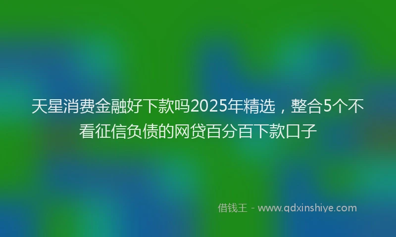 天星消费金融好下款吗2025年精选，整合5个不看征信负债的网贷百分百下款口子