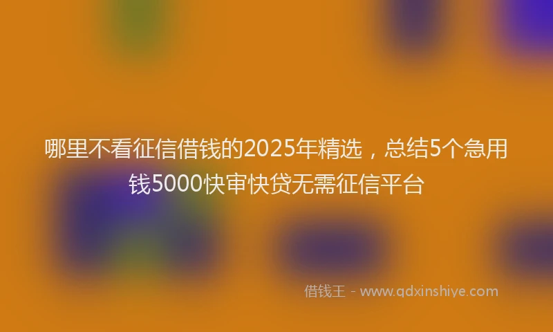 哪里不看征信借钱的2025年精选，总结5个急用钱5000快审快贷无需征信平台