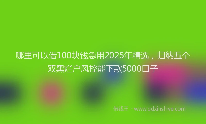 哪里可以借100块钱急用2025年精选，归纳五个双黑烂户风控能下款5000口子