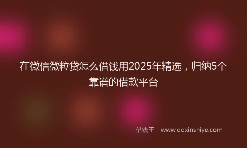 在微信微粒贷怎么借钱用2025年精选，归纳5个靠谱的借款平台