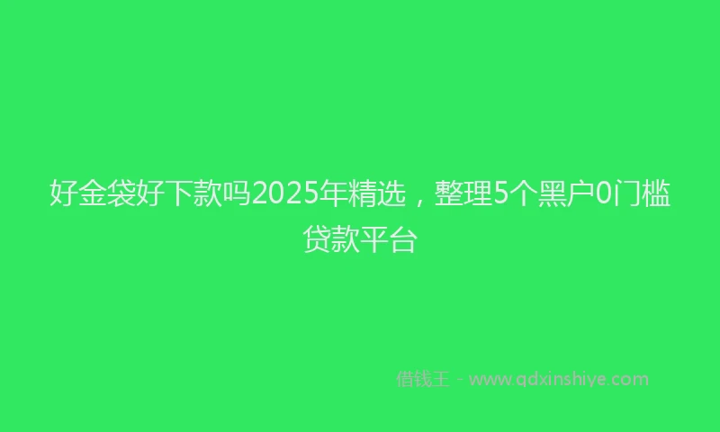 好金袋好下款吗2025年精选，整理5个黑户0门槛贷款平台