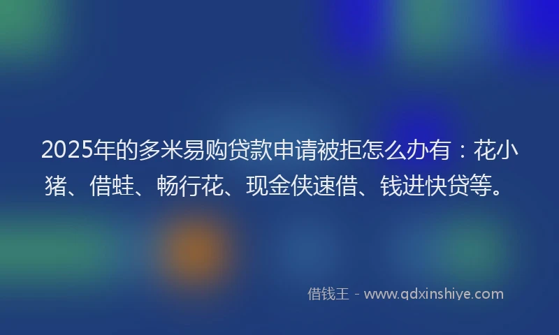 2025年的多米易购贷款申请被拒怎么办有：花小猪、借蛙、畅行花、现金侠速借、钱进快贷等。