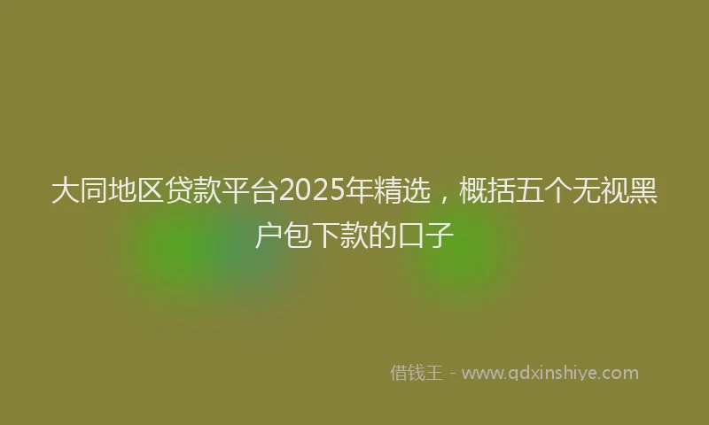 大同地区贷款平台2025年精选，概括五个无视黑户包下款的口子
