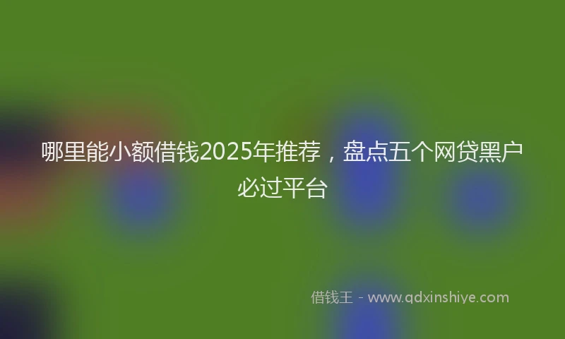 哪里能小额借钱2025年推荐，盘点五个网贷黑户必过平台