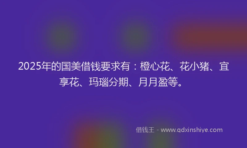2025年的国美借钱要求有：橙心花、花小猪、宜享花、玛瑙分期、月月盈等。