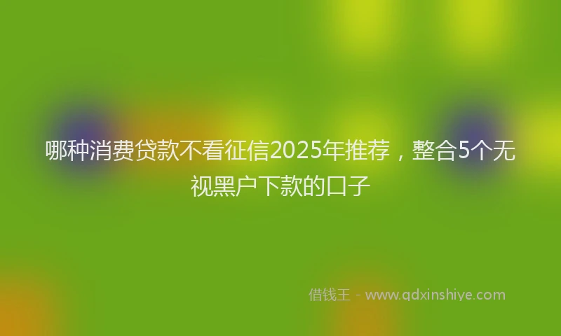 哪种消费贷款不看征信2025年推荐，整合5个无视黑户下款的口子