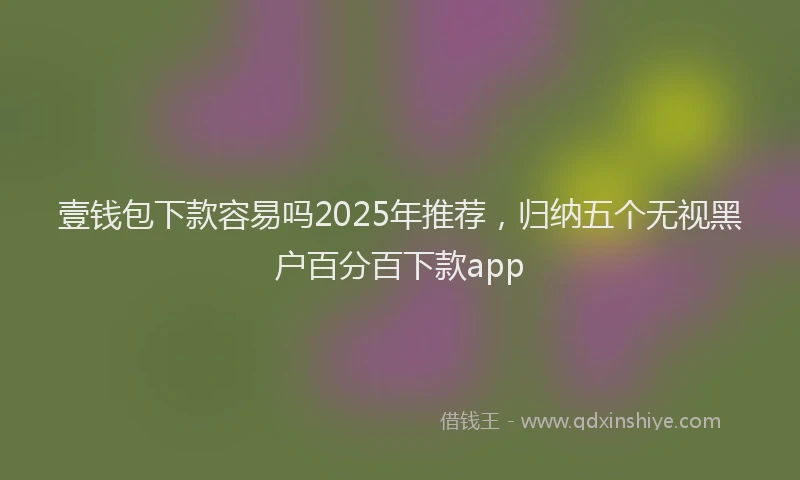 壹钱包下款容易吗2025年推荐，归纳五个无视黑户百分百下款app