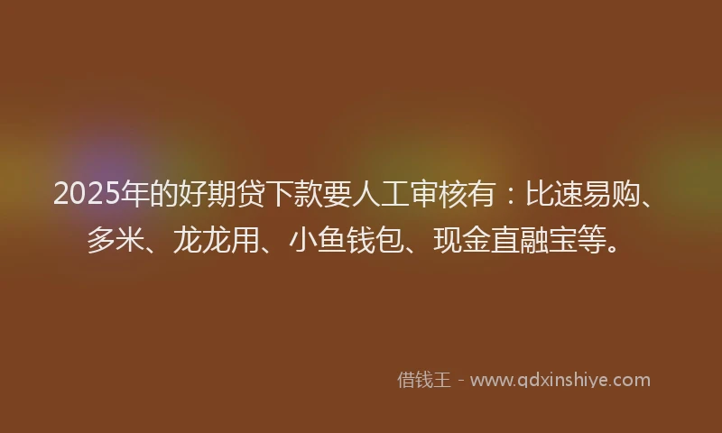 2025年的好期贷下款要人工审核有：比速易购、多米、龙龙用、小鱼钱包、现金直融宝等。