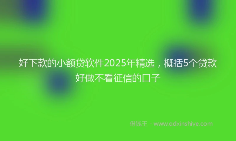 好下款的小额贷软件2025年精选，概括5个贷款好做不看征信的口子
